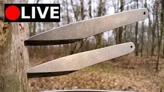 No-Spin vs Spin Knife/Axe Throwing (LIVE Discussion with a World Champion)