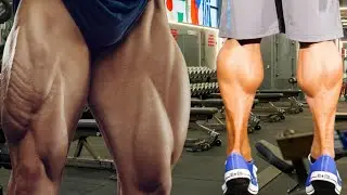 8 Best Leg Exercises for Massive Strength & Growth | Ultimate Leg Day for Quads, Hamstrings & Glutes