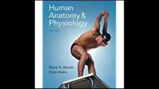 Human Anatomy & Physiology, 8th Edition