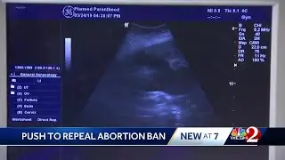 Female lawmakers file bill to repeal 6-week abortion ban in Florida