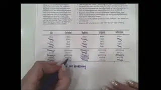 Perplexor Explanation (Italian Stars)