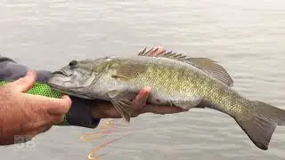3B Outdoors TV - Bass Fishing on Cherokee Lake, Morristown, TN