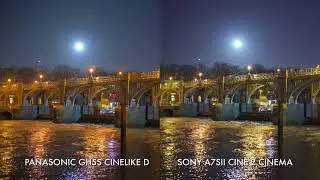 Low light comparison: GH5s vs A7SII vs A7RIII