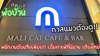 ทาสแมวต้องดู มะลิแคทคาเฟ่(Mali Cat Cafe & Bar) พนักงานต้อนรับเพียบ เต็มคาเฟ่ที่นิมาน เชียงใหม่