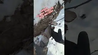 1월11일 강원도 고산지역 #눈폭탄