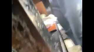 El chocho te da vueltas 👁️👄👁️