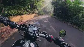 Triumph Speed 400 Forest Ride POV