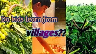 Kids Exploring Urad Dal Farm & Lighting Diyas Near Amla Plant | Village Learning