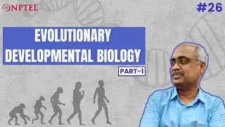 #26 Evolutionary Developmental Biology | Part 1 | Introduction to Developmental Biology