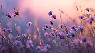 Relaxing Music | Beautiful Music to calm the mind | Deep Meditation Music, Soothing Nature
