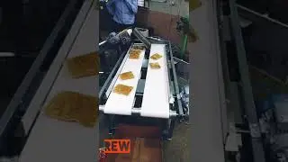 Counting Conveyor Belt for Pouch Packing