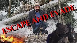 Bug Out Survival: Rapid Shelter Construction in Crisis