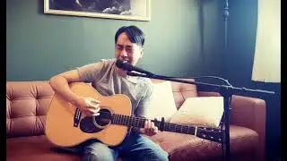 Billie Eilish - Birds of a Feather cover