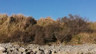 Portmarnock Beach, Ireland. (Calming)