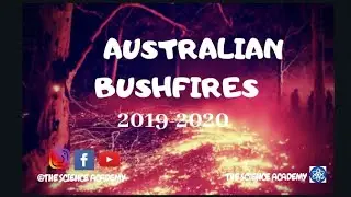 Australian Bushfires | Causes, History and Impact of Bushfire in Australia ⚛️
