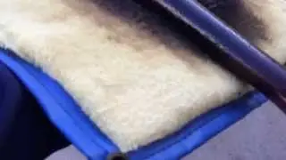 How To Apply Pine Tar