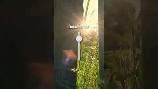 Subscribe for more daily exercises.