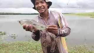 Muito peixe encostou na seva piau, piau sul, piapara e outras espécies  só fisgada bruta o dia todo.