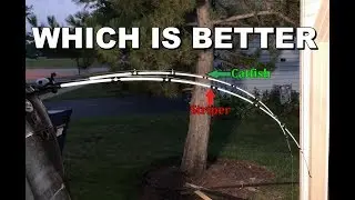 Ugly Stick Striper против Ugly Stick Catfish | обзор и подробное сравнение удилищ для ловли сома