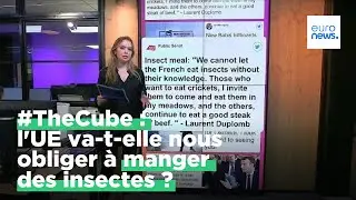 Fact-Checking: l'Union Europ&eacute;enne va-t-elle nous obliger &agrave; manger des insectes?