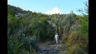 FIELD TRIP WITH PATRICK BLANC IN CUBA - HUMBOLDT, SIERRA MAESTRA & JARUCO