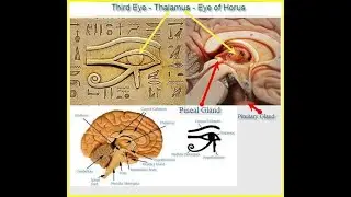 The mystery of Third Eye 👁  || Details of Kundalini Chakras || All in one Chakras Guide @universe 🌌