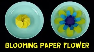Blooming Paper Flower Experiment for kids | The Science of Capillary Action