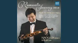 Violin Caprice No. 21