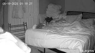 Orb quickly shoots into room. Watch left hand side of video. First 5 seconds. #paranormal #ghost 