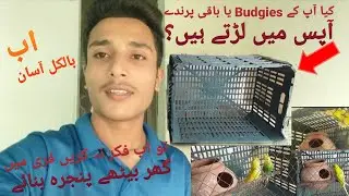 Make easy cage free of cost at home for birds | how to make cage at home | Recycling fruit basket