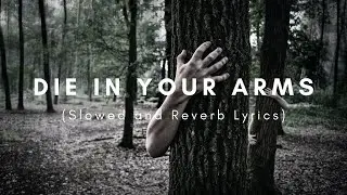 MVSE - DIE IN YOUR ARMS (Slowed + Reverb Lyrics)