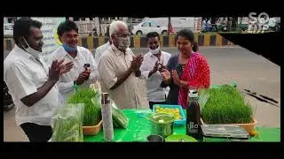 wheat grass juice benefit  vijay kumar Vijayawada 9966116820🌾🌾🌾