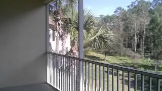 Naples Rare Foreclosure Madison park