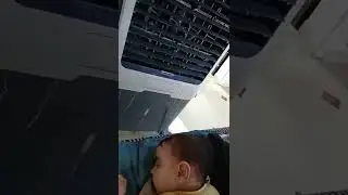 Kuku sleeping