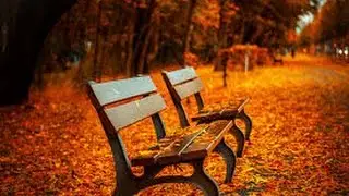 TAURUS OCTOBER 2016 MID MONTH