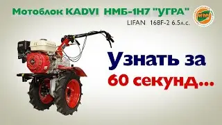 Узнать за 60 секунд: преимущества Мотоблок KADVI НМБ-1Н7 
