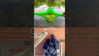 Learn Animal Names at the Pond for Babies Kids: Gorilla Crab Bear Octopus Pig #SummerOnShorts