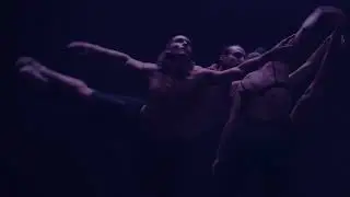 ASCENT | Sydney Dance Company | 2nd Aug | Princess Theatre (I Am-ness)