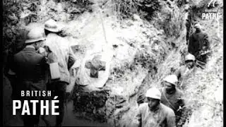 Western Front (1914-1918)