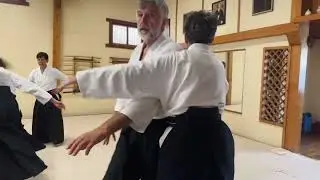Marseille, France Aikido Seminar 2024 hosted by Dojo Shinfukan, France