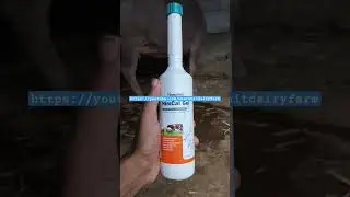 Fast Recovering Calcium Gel #dairy