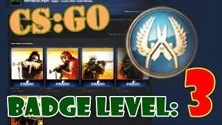Steam CS:GO Badge level [3/6] | Dusty Veteran