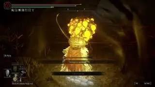 Killing a Winter Lantern/Aging Untouchable :Elden Ring Shadow Of The Erd Tree