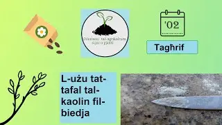 L-użu tat-tafal tal-kaolin fil-biedja