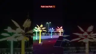 Palm tree 🌴 park in Shivpuri #shivpuri