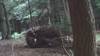 runcam scope cam 2 4k | Test