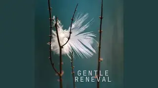 Gentle Growth