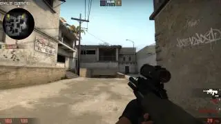 CS:GO Is the AUG or SG553 Worth it?