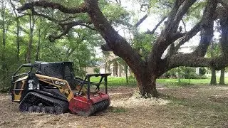 Underbrush Land Clearing Forestry Mulching