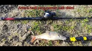 Chapter 153 : Aku dah kena panahan cinta sebarau